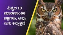 ಮೊಲಗಳು, ಹಾವುಗಳು, ಮರಿ ಮೊಸಳೆಗಳನ್ನು ತಿನ್ನುವ 10 ಮಾರಣಾಂತಿಕ ಪಕ್ಷಿಗ