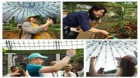 Butterfly Park: ಬೆಂಗಳೂರು ಸೇರಿದಂತೆ ಈ ಭಾಗಗಳಲ್ಲಿಯೂ ಸುಂದರವಾದ ಚಿಟ್ಟೆ ಪಾರ್ಕ್‌ಗಳಿವೆ…ಮಕ್ಕಳನ್ನೂ ಇಲ್ಲಿಗೆ ಕರೆದುಕೊಂಡು ಹೋಗಿ
