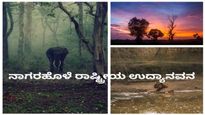 ಪ್ರಾಣಿ, ಪಕ್ಷಿ ಪ್ರಿಯರಿಗೆ ಸ್ವರ್ಗ ನಾಗರಹೊಳೆ ರಾಷ್ಟ್ರೀಯ ಉದ್ಯಾನವನ..ಮಕ್ಕಳೊಂದಿಗೆ ಟ್ರಿಪ್ ಹೋಗಲು ಇದು ಉತ್ತಮ ಸಮಯ, ಸ್ಥಳ 