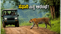 ವಾರಾಂತ್ಯದ ಟ್ರಿಪ್ ಪ್ಲಾನ್ ಮಾಡ್ತಿದ್ದೀರಾ? ಬಂಡೀಪುರ-ನಾಗರಹೊಳೆ ಸಫಾರಿ ಈಗ ಮತ್ತೆ ಆರಂಭ!