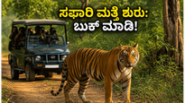 ಬಂಡೀಪುರ, ನಾಗರಹೊಳೆ ಸಫಾರಿ ಮತ್ತೆ ಶುರು: ಮಳೆಗಾಲದ ಕಾಡಿನ ಸೌಂದರ್ಯ ಸವಿಯಲು ಈಗಲೇ ಬುಕ್ ಮಾಡಿ!