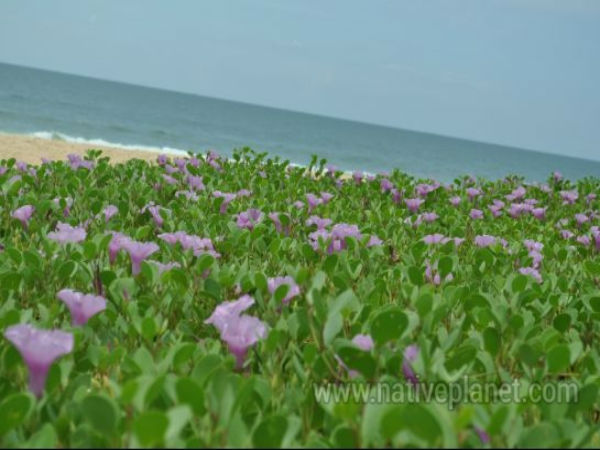 ಪಡುಬಿದ್ರಿ: