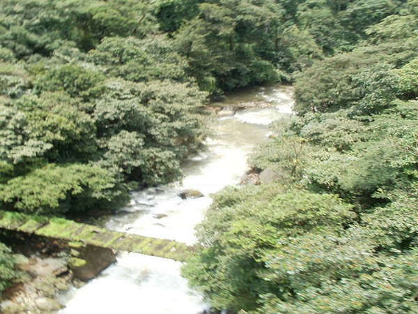 ಇನ್ನೊಂದು ದೃಶ್ಯ: