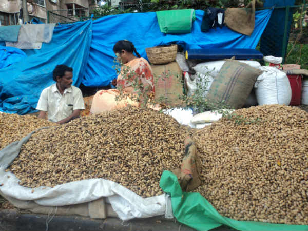 ಕಡಲೆಕಾಯಿ ಪರಿಶೆ: