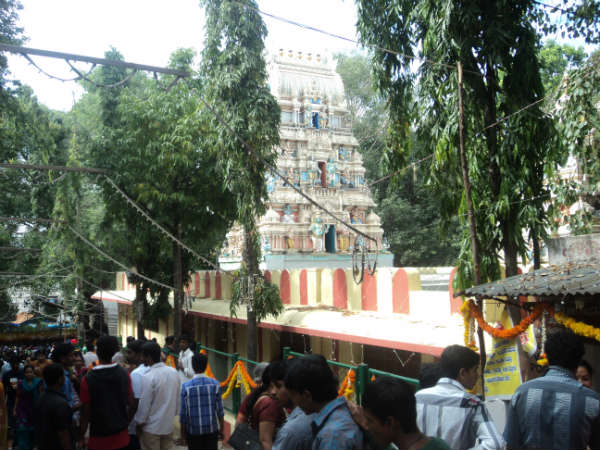 ಕಡಲೆಕಾಯಿ ಪರಿಶೆ: