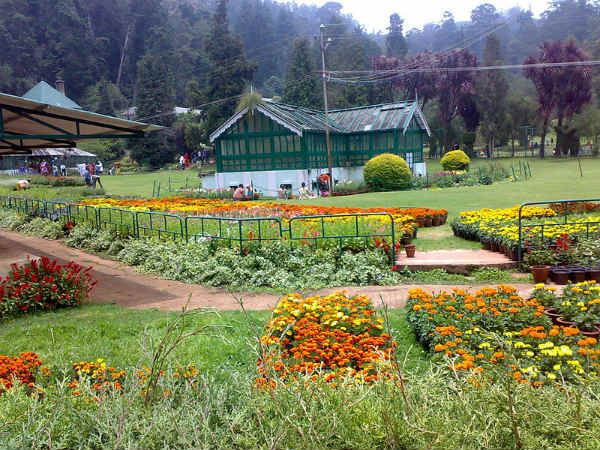 ಸರ್ಕಾರಿ ಬೊಟಾನಿಕಲ್ ಉದ್ಯಾನ, ಊಟಿ