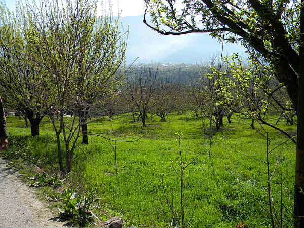 ಹಿಮಾಲಯ ಪ್ರದೇಶಗಳು:- ಮನಾಲಿ:
