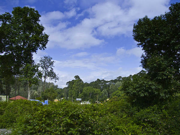 ಯೇರ್ಕಾಡ್: