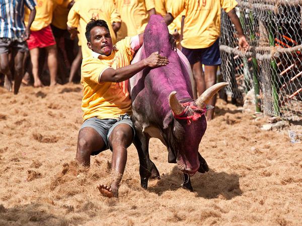 ಅವನಿಯಪುರಂ: