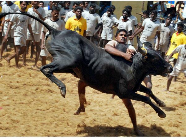 ಕೊಂಡಲಾಂಪಟ್ಟಿ: