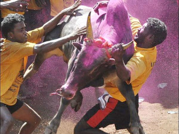 ಪಲ್ಲವರಾಯನಪಟ್ಟಿ: