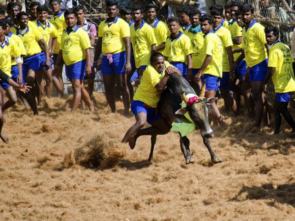 ಸ್ರವಯಲ್: