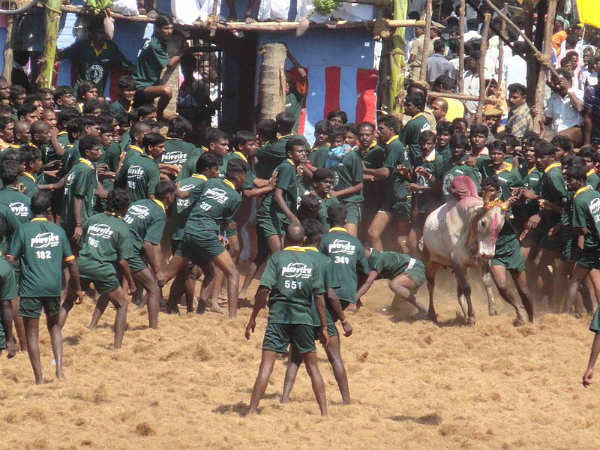 ಕಂದುಪ್ಪಟ್ಟಿ: