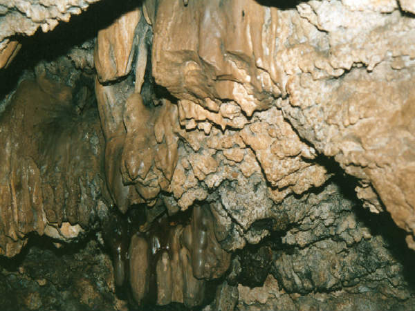 ರುದ್ರಾಕ್ಷಿ ಮಂಟಪ: