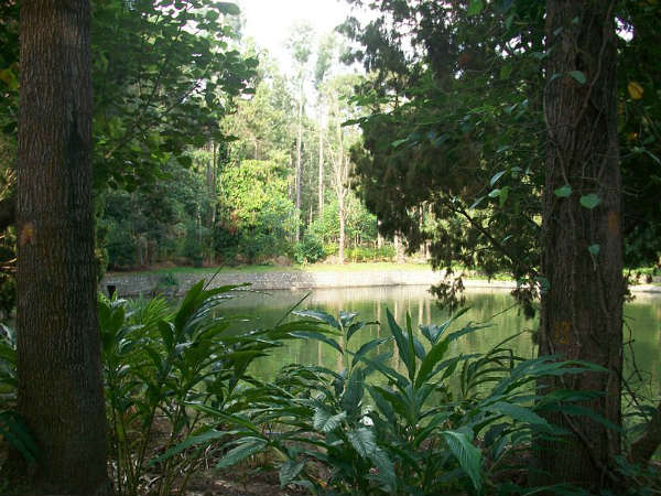 ಯೇರ್ಕಾಡ್: 