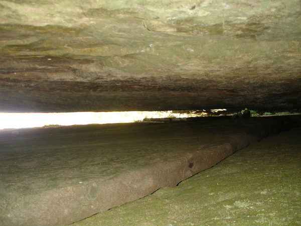 ದಿಗ್ಭ್ರಮೆ: