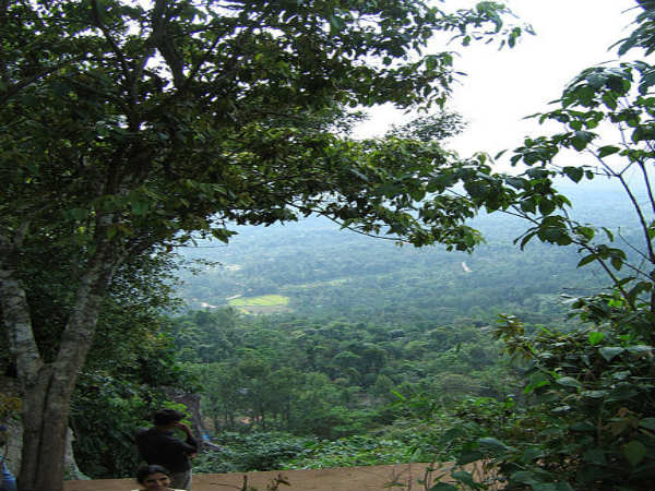 ಸುತ್ತಲಿನ ನೋಟ: