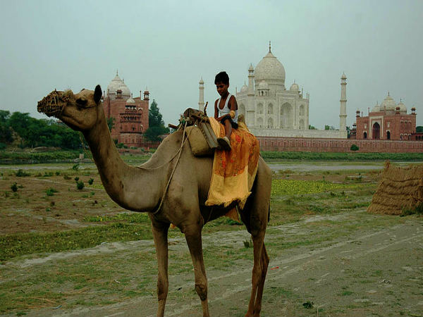 ತಾಜ್ ಮಹಲ್: