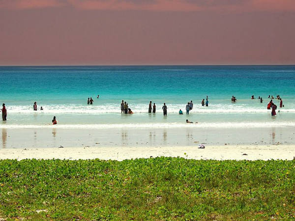 ಕಡಲ ತೀರಗಳು: