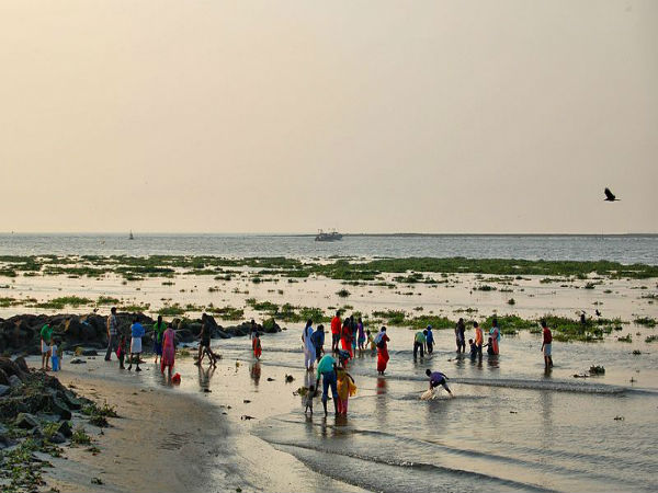 ಕಡಲ ತೀರಗಳು: