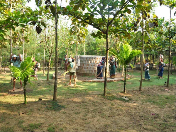 ಉತ್ಸವ ರಾಕ್ ಉದ್ಯಾನ: