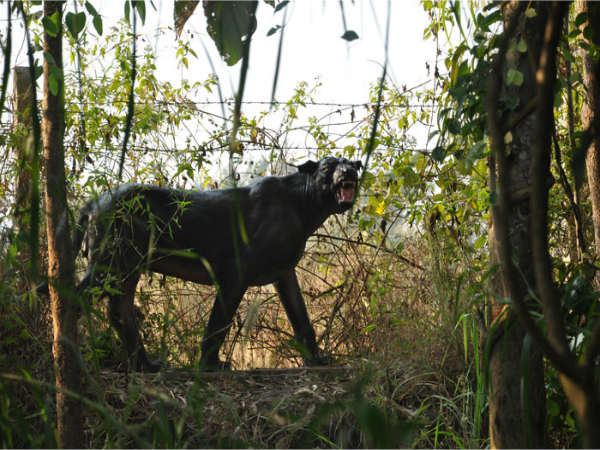 ಉತ್ಸವ ರಾಕ್ ಉದ್ಯಾನ: