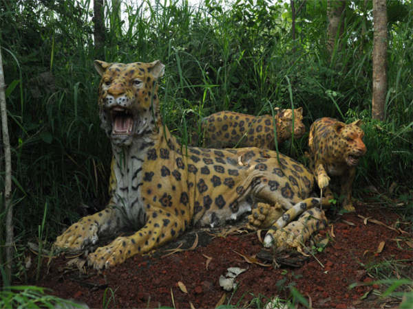 ಉತ್ಸವ ರಾಕ್ ಉದ್ಯಾನ: