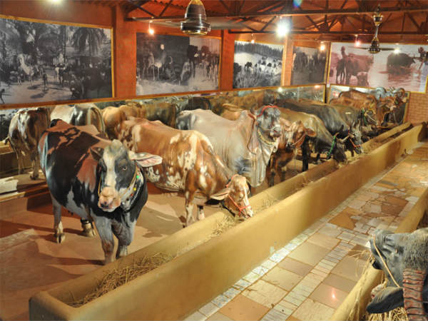 ಉತ್ಸವ ರಾಕ್ ಉದ್ಯಾನ: