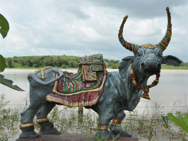 ಉತ್ಸವ ರಾಕ್ ಉದ್ಯಾನ: