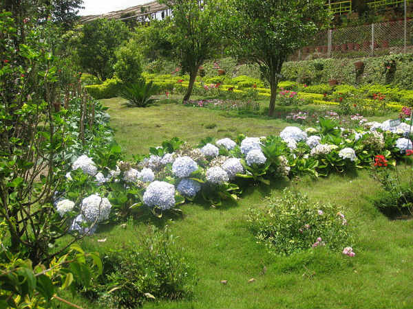 ಮುನ್ನಾರ್: