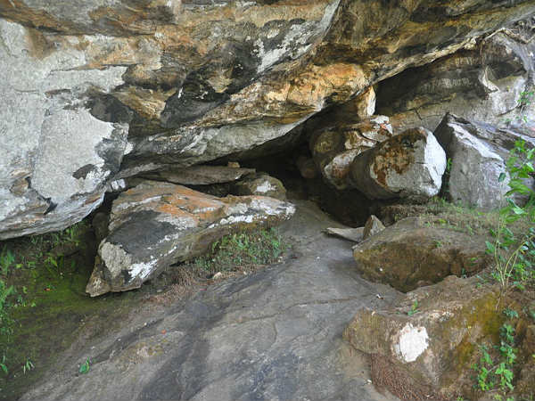 ತೀರ್ಥಹಳ್ಳಿ: