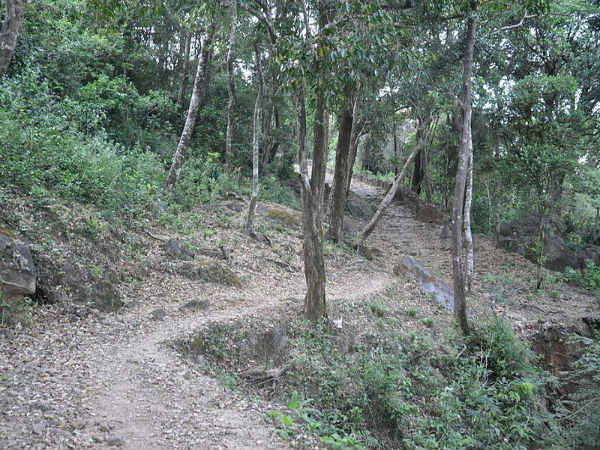 ತೀರ್ಥಹಳ್ಳಿ: