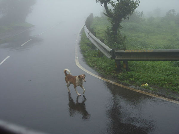 ಲೋನಾವಲಾ: