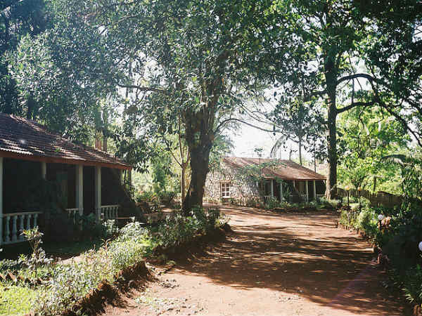 ದಾಂಡೇಲಿ: