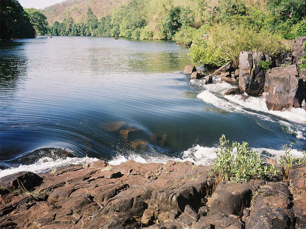 ದಾಂಡೇಲಿ: