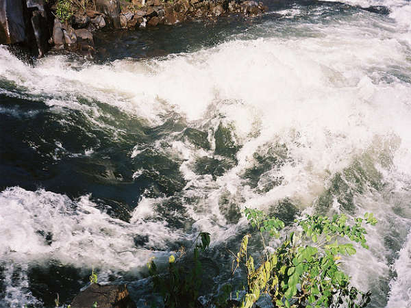 ದಾಂಡೇಲಿ: