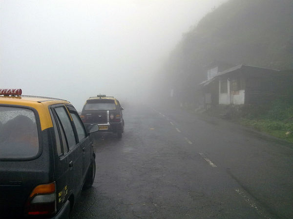 ಮಳೆ ಪ್ರದೇಶದ ಒಳಜಗತ್ತು: