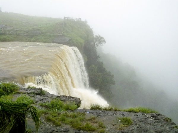 ಮಳೆ ಪ್ರದೇಶದ ಒಳಜಗತ್ತು: