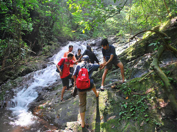 ಮಳೆ ಪ್ರದೇಶದ ಒಳಜಗತ್ತು: