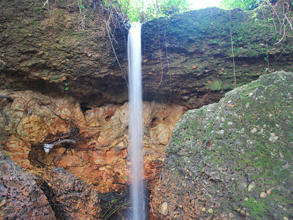 ಮಳೆ ಪ್ರದೇಶದ ಒಳಜಗತ್ತು: