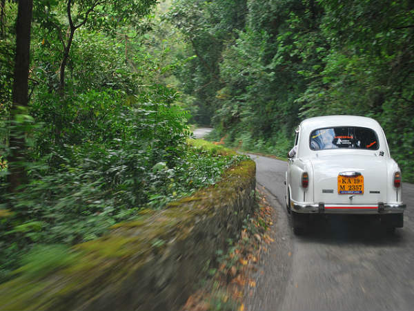 ಮಳೆ ಪ್ರದೇಶದ ಒಳಜಗತ್ತು: