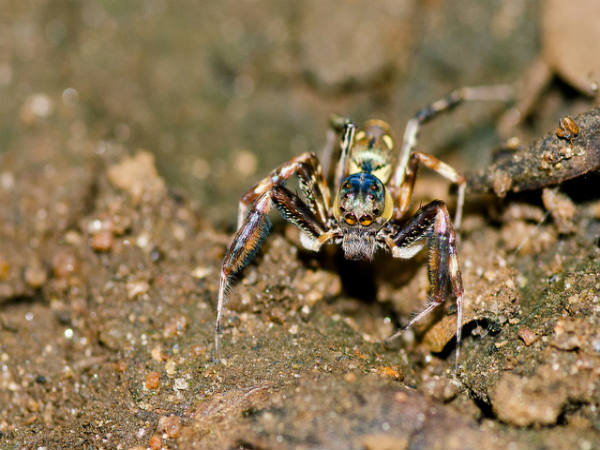 ಕಬಿನಿಯಲ್ಲಿ ಅರಳಿದ ಜೀವನ: