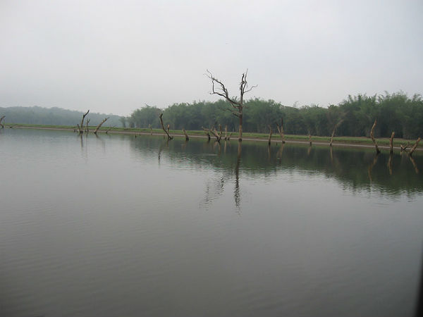 ಕಬಿನಿಯಲ್ಲಿ ಅರಳಿದ ಜೀವನ: