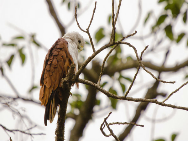 ಕಬಿನಿಯಲ್ಲಿ ಅರಳಿದ ಜೀವನ: