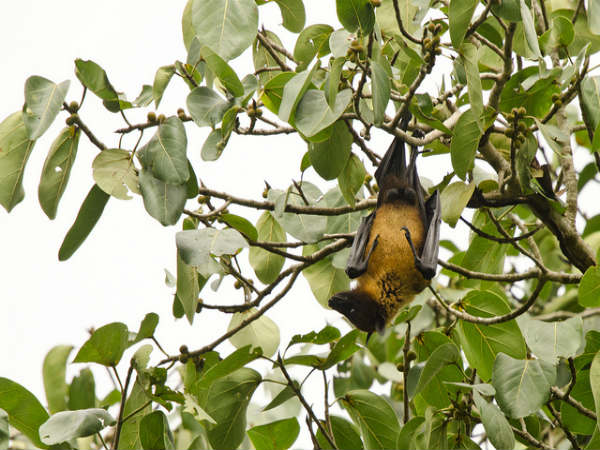 ಕಬಿನಿಯಲ್ಲಿ ಅರಳಿದ ಜೀವನ: