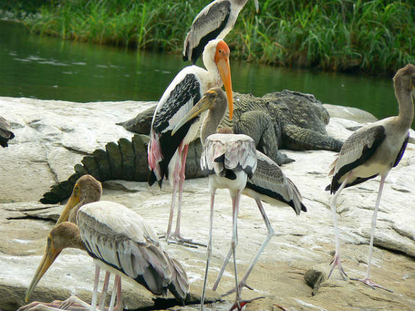 ಮಂಡ್ಯ ಜಿಲ್ಲೆ: