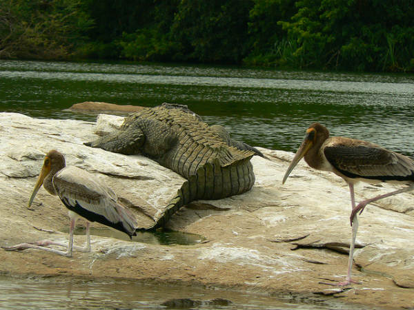 ಮಂಡ್ಯ ಜಿಲ್ಲೆ: