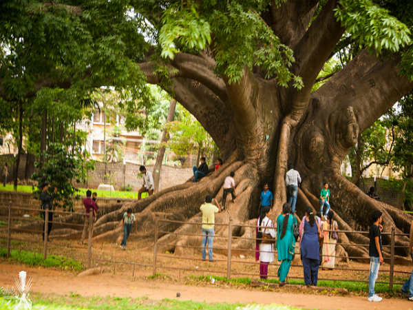 ಲಾಲ್ ಬಾಗ್ ಆಕರ್ಷಣೆಗಳು: