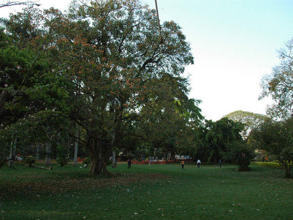 ಲಾಲ್ ಬಾಗ್ ಆಕರ್ಷಣೆಗಳು: