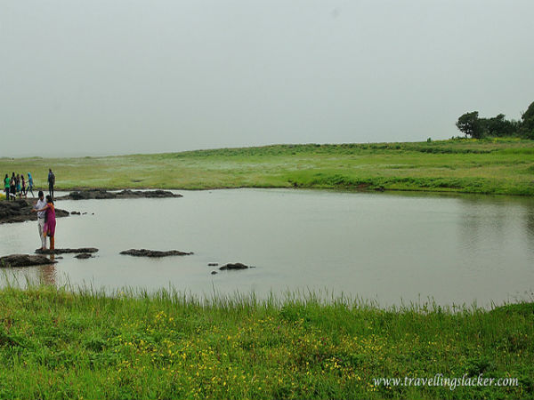 ಕಾಸ್ ಹೂವಿನ ಕಣಿವೆ: